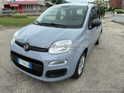 Fiat Panda 1.2 EasyPower Easy usata