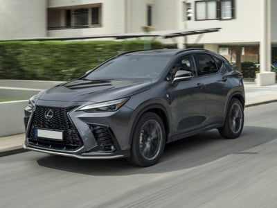 Lexus NX Hybrid 4WD Premium usata