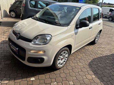Fiat Panda 1.2 Dynamic usata