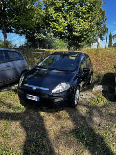 Fiat Punto Evo 1.2 5 porte S&S Dynamic usata