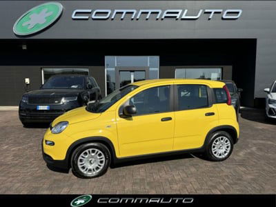 Fiat Panda 1.0 firefly hybrid s&s 70cv 5p.ti nuova