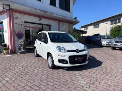 Fiat Panda 1.2 Trussardi usata
