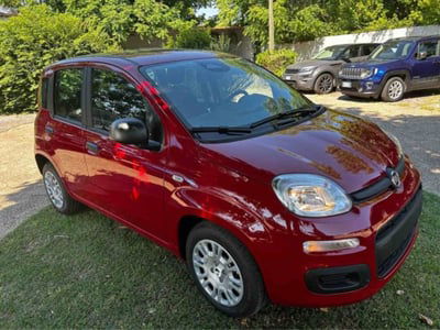 Fiat Panda 1.0 firefly hybrid s&s 70cv 5p.ti nuova