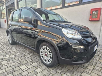 Fiat Panda 1.0 firefly hybrid s&s 70cv 5p.ti usata