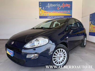 Fiat Punto 1.2 8V 5 porte Easy usata
