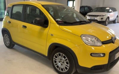Fiat Panda Cross Cross 1.0 FireFly S&S Hybrid usata