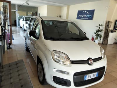 Fiat Panda 1.2 Easy usata