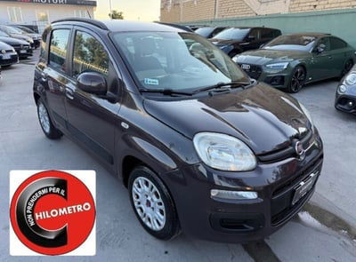 Fiat Panda 1.2 EasyPower Easy usata