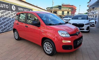 Fiat Panda 1.2 EasyPower Easy usata