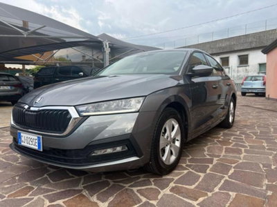 Skoda Octavia 2.0 TDI EVO SCR DSG Executive (7)