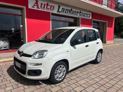 Fiat Panda 1.3 MJT 95 CV S&S Easy usata