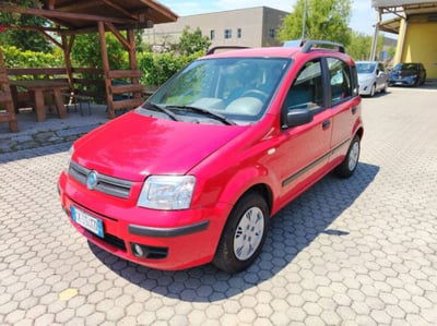 Fiat Panda 1.2 Dynamic Eco usata