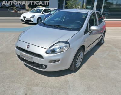 Fiat Punto 1.2 8V 5 porte Street usata