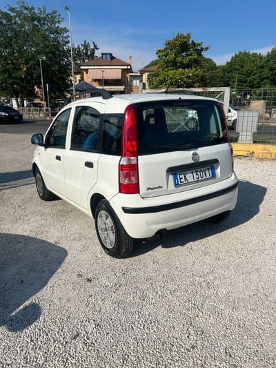 Fiat Panda 1.3 MJT 16V DPF usata