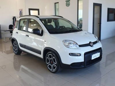 Fiat Panda 1.0 FireFly S&S Hybrid City Life usata