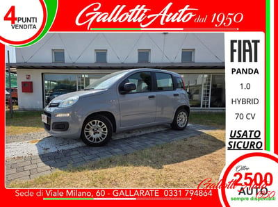 Fiat Panda Cross Cross 1.0 FireFly S&S Hybrid usata
