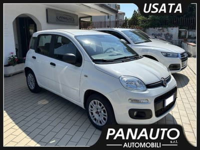 Fiat Panda 1.2 Easy usata