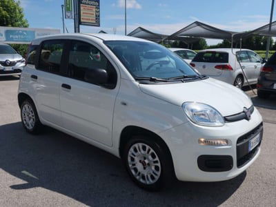 Fiat Panda 1.2 Easy usata