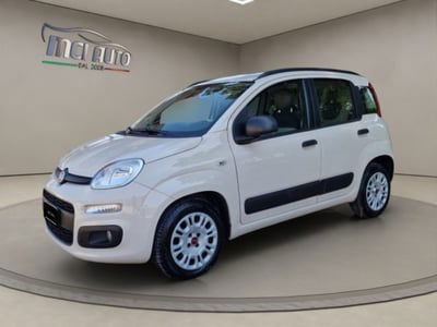 Fiat Panda 1.2 Easy usata