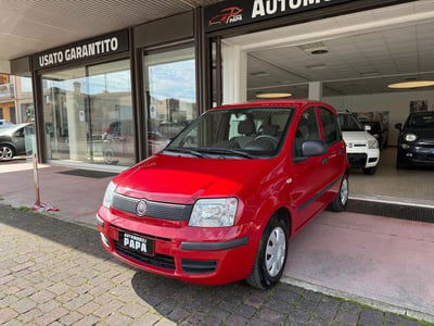 Fiat Panda 1.2 Dynamic usata