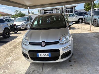 Fiat Panda 1.2 Easy usata