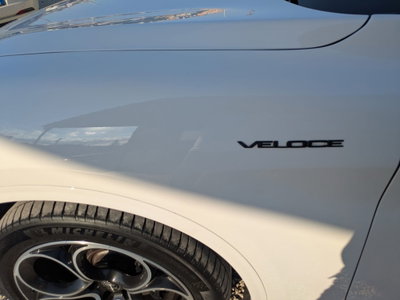 Alfa Romeo Stelvio Stelvio 2.2 Turbodiesel 210 CV AT8 Q4 Veloce Tì (12)