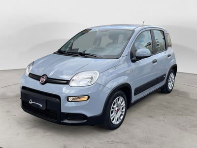 Fiat Panda Cross Cross 1.0 FireFly S&S Hybrid usata