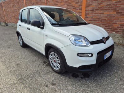 Fiat Panda 1.0 firefly hybrid s&s 70cv 5p.ti usata