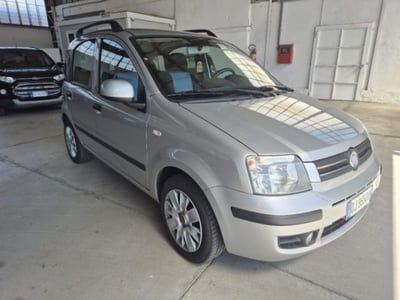 Fiat Panda 1.2 Alessi usata