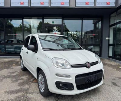 Fiat Panda 1.2 Lounge usata
