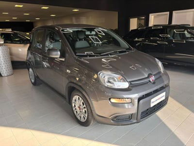 Fiat Panda 1.0 firefly hybrid s&s 70cv 5p.ti usata