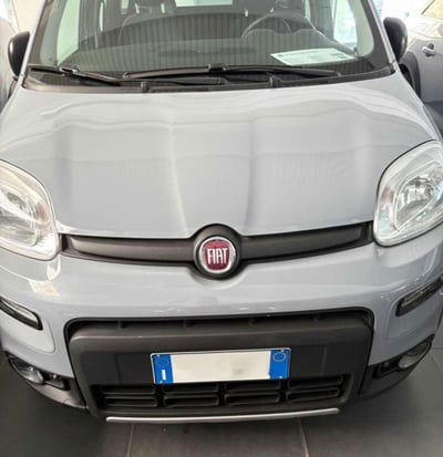 Fiat Panda 0.9 TwinAir Turbo S&S 4x4 Pop Van 2 posti usata