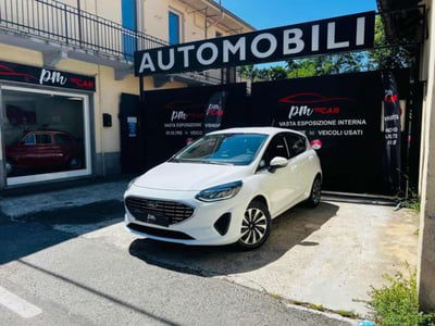 Ford Fiesta 1.1 75 CV GPL 5 porte Titanium usata