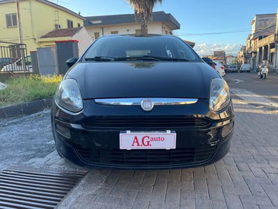 Fiat Punto Evo 1.2 5 porte S&S Dynamic usata