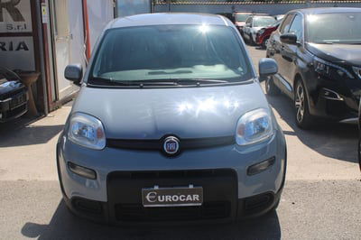 Fiat Panda 1.0 FireFly S&S Hybrid City Cross usata