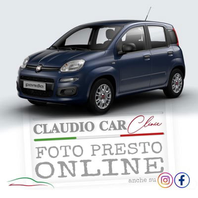 Fiat Panda 1.2 Easy usata