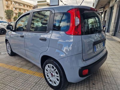Fiat Panda 1.2 Easy usata