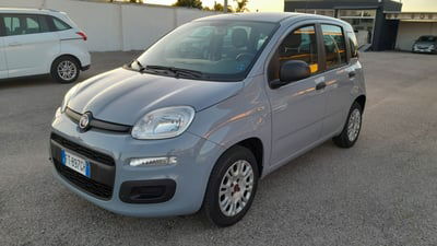 Fiat Panda 1.2 Pop usata
