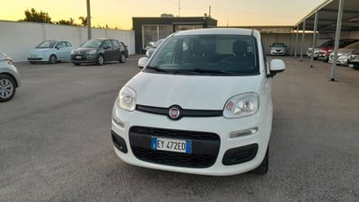 Fiat Panda 1.2 Pop usata