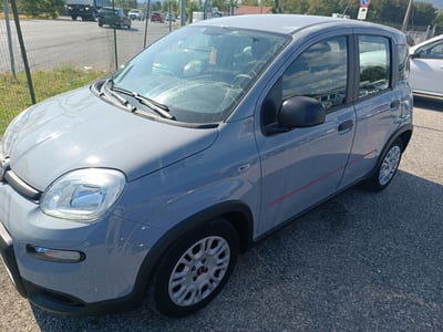 Fiat Panda 1.0 firefly hybrid Pop s&s 70cv usata