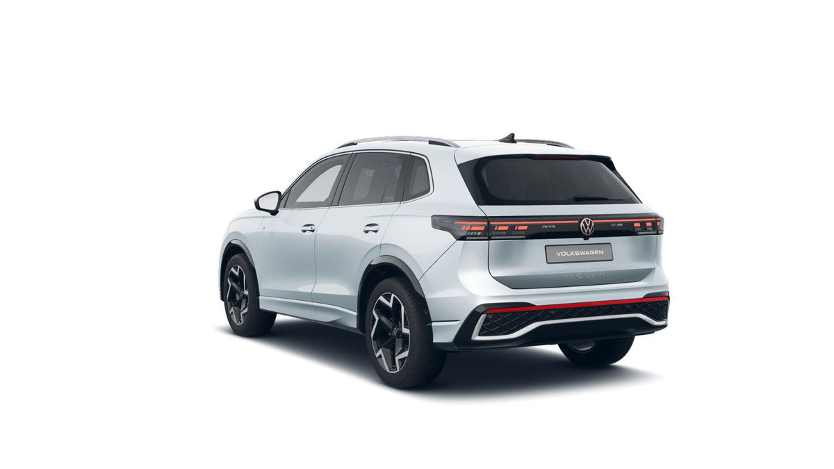 Volkswagen Tiguan 2.0 tdi R-Line 150cv dsg (3)