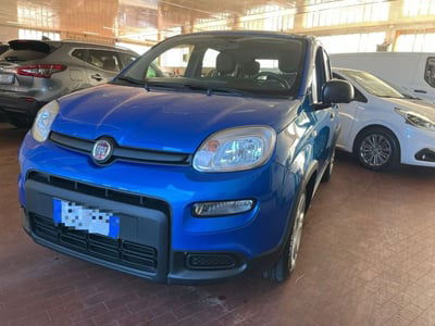 Fiat Panda Cross Cross 1.0 FireFly S&S Hybrid usata