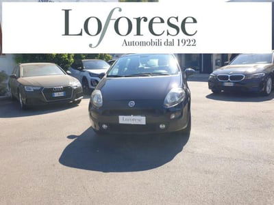 Fiat Punto 1.3 MJT II 75 CV 5 porte Easy