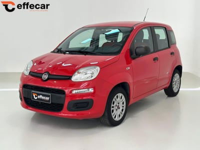 Fiat Panda 1.2 Easy usata