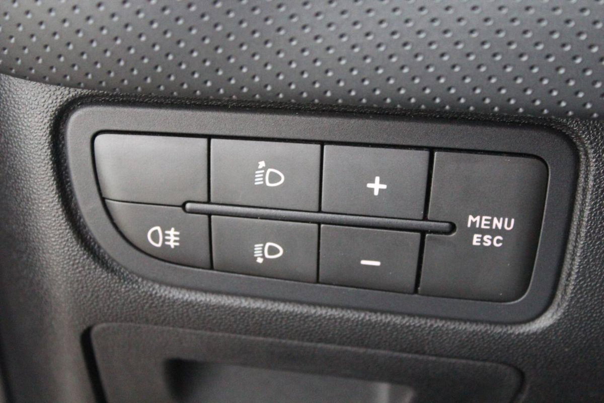 Fiat Punto Evo 1.3 MJT 75 DPF S&S 5p.Van Act. (16)