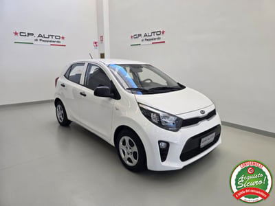 Kia Picanto 1.0 12V 5 porte City usata