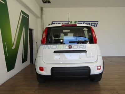 Fiat Panda 1.0 firefly hybrid s&s 70cv 5p.ti (12)