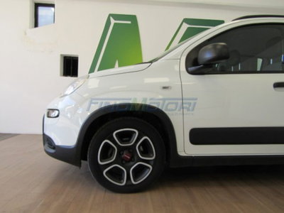 Fiat Panda 1.0 firefly hybrid s&s 70cv 5p.ti (3)