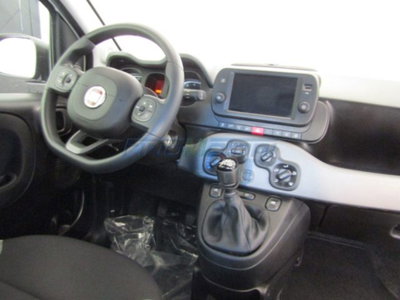 Fiat Panda 1.0 firefly hybrid s&s 70cv 5p.ti (5)