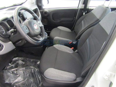 Fiat Panda 1.0 firefly hybrid s&s 70cv 5p.ti (7)
